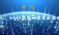 比特币现金钱包哪个好是一个热门话题，许多人
