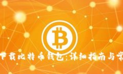 : 电脑怎么下载比特币钱包：详细指南与常见问题