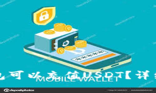 选择哪个钱包可以充值USDT？详细指南与推荐