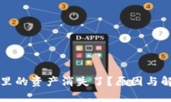 狗狗币钱包里的资产消失了？原因与解决办法解