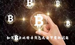 如何解决比特币钱包无法下载的问题
