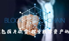 以太坊钱包图片欣赏：探索数字资产的视觉艺术