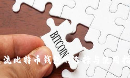 主流比特币钱包的选择与使用指南