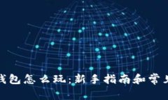 : 以太坊钱包怎么玩：新手指南和常见问题解析