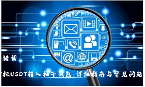 和关键词

如何把USDT转入柚子钱包：详细指南与常见问题解答