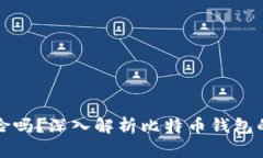 比特币存钱包有风险吗？深入解析比特币钱包的