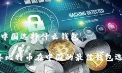 比特币中国选择什么钱包2023年比特币在中国的最
