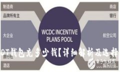  USDT钱包充多少钱？详细解析及选择指南