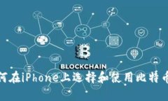 : 如何在iPhone上选择和使用比特币钱包