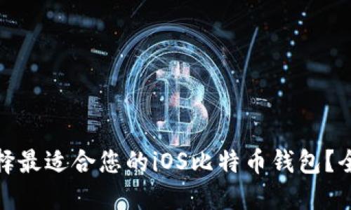 : 如何选择最适合您的iOS比特币钱包?全方位指南