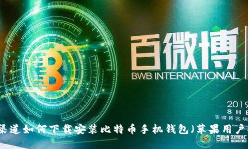 官方渠道如何下载安装比特币手机钱包（苹果用户指南）