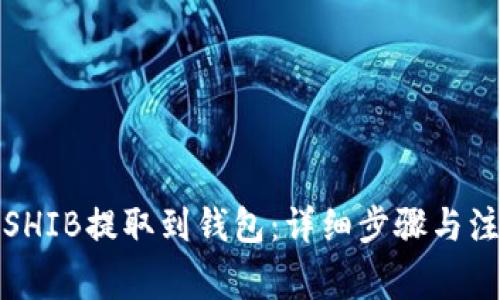 如何将SHIB提取到钱包：详细步骤与注意事项