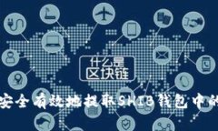 如何安全有效地提取SHIB钱包中的资产