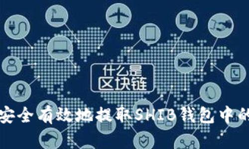 如何安全有效地提取SHIB钱包中的资产