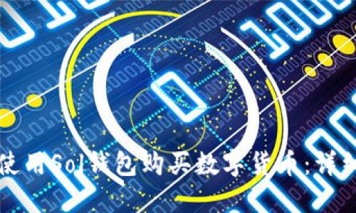 如何使用Sol钱包购买数字货币：详细指南