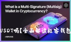 : 极客钱包支持USDT吗？全面解读极客钱包的功能