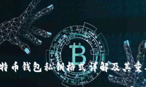  比特币钱包私钥格式详解及其重要性