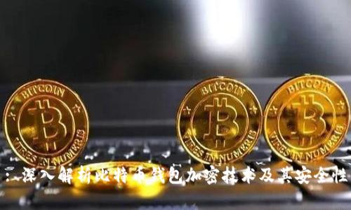 : 深入解析比特币钱包加密技术及其安全性