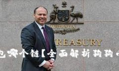 : 狗狗币存钱包哪个链？全面解析狗狗币的存储与