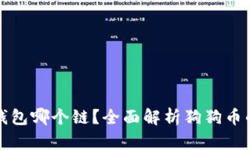: 狗狗币存钱包哪个链？全面解析狗狗币的存储与使用