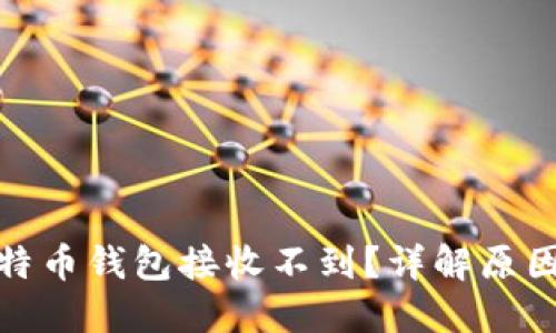 : 为什么比特币钱包接收不到？详解原因与解决方案