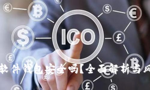 比特币软件钱包安全吗？全面解析与风险评估
