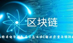 : 比特币电子钱包丢了怎么办？解决方案与预防措