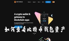 如何查看比特币钱包资产