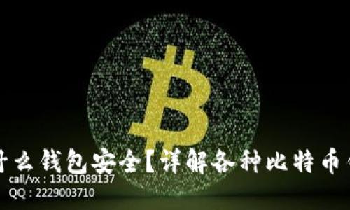 比特币放入什么钱包安全？详解各种比特币钱包的安全性