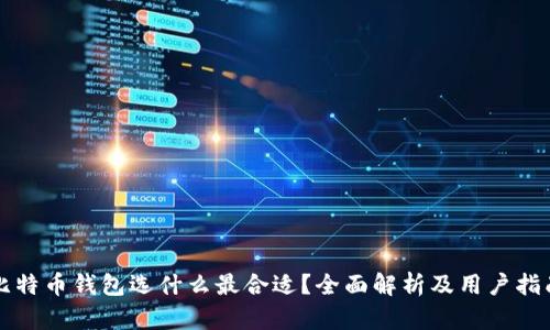 比特币钱包选什么最合适？全面解析及用户指南